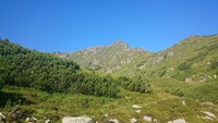 Pietrosul Mare from tent camp close to Smiling lake photo