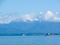 From Nelson Boulder Bank, Mount Arthur photo