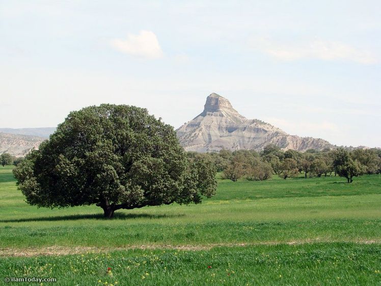 naser ramezani mount pardis