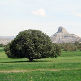 naser ramezani mount pardis