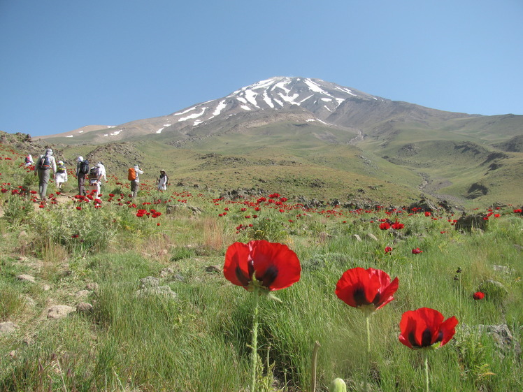 Damavand Mountain, Damavand (دماوند)