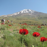 Damavand Mountain, Damavand (دماوند)