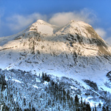 Snow-covered Yak, Yak Peak