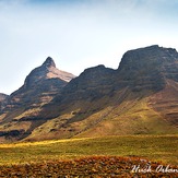 RHINO, The Peak, Rhino Peak