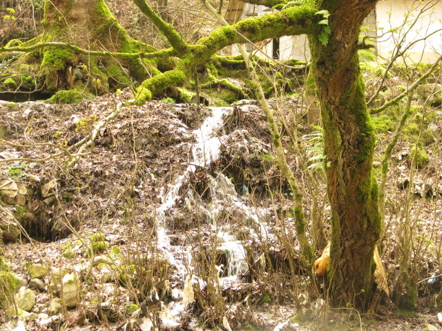 The intact nature of Rudkhan castle., Damavand (دماوند)