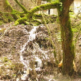 The intact nature of Rudkhan castle., Damavand (دماوند)