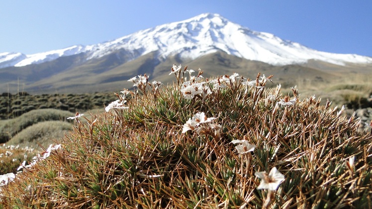 Damavand north face, Damavand (دماوند)