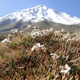 Damavand north face, Damavand (دماوند)