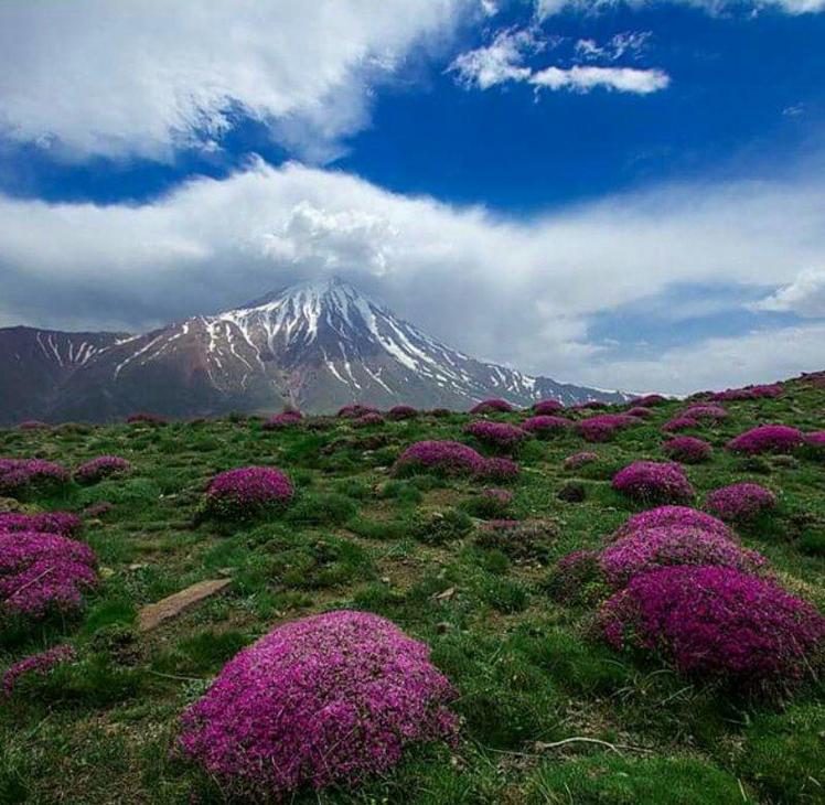 naser ramezani damavand, Damavand (دماوند)