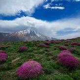 naser ramezani damavand, Damavand (دماوند)