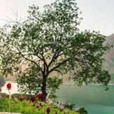 naser ramezani ghahar lake, سن بران