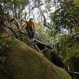 Mount Bartle Frere