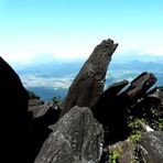 Rugged Landscape on Bartle Frere, Mount Bartle Frere