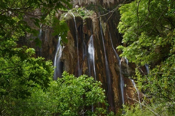 naser ramezani Margon waterfall, Dena
