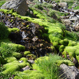 Aygari, سبلان