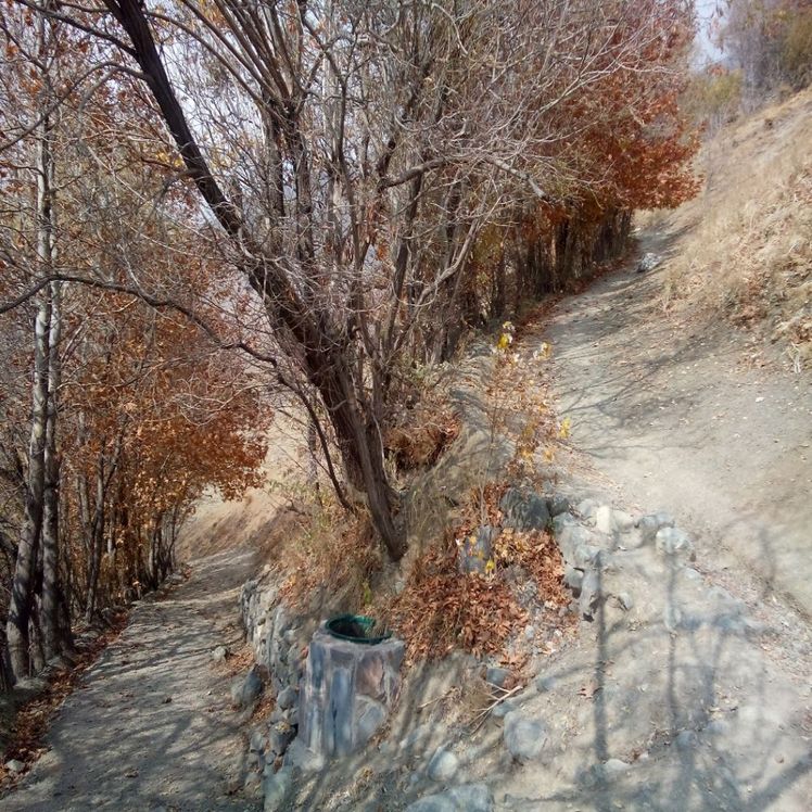 Autumn in Kolakchal 