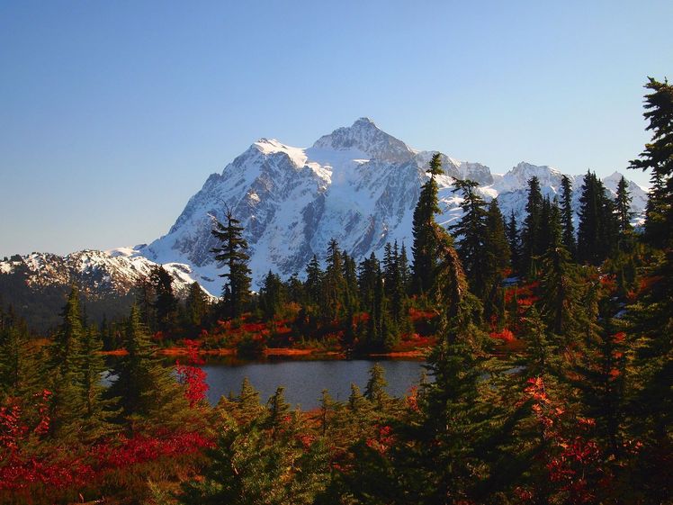 Mt Shuksan in the Fall, Mount Shuksan