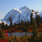 Mt Shuksan in the Fall, Mount Shuksan