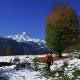 محمود ترابی, Damavand (دماوند)