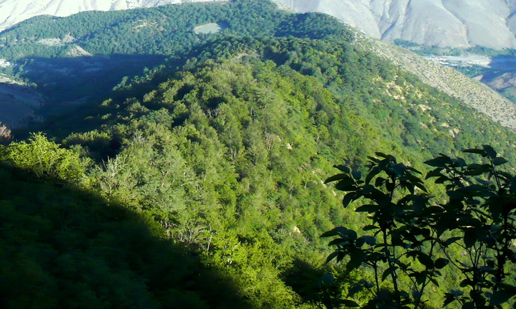 NeghabeKoohestaN.Blogfa.com, Damavand (دماوند)