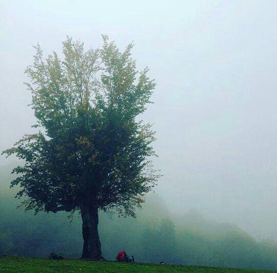 naser ramezani filband babol, Damavand (دماوند)