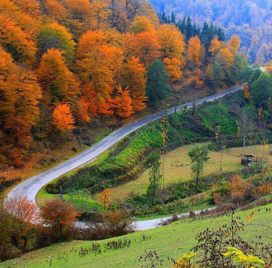 naser ramezani savadkouh zirab, Damavand (دماوند)