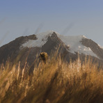 Nevado del Tolima, Azufral