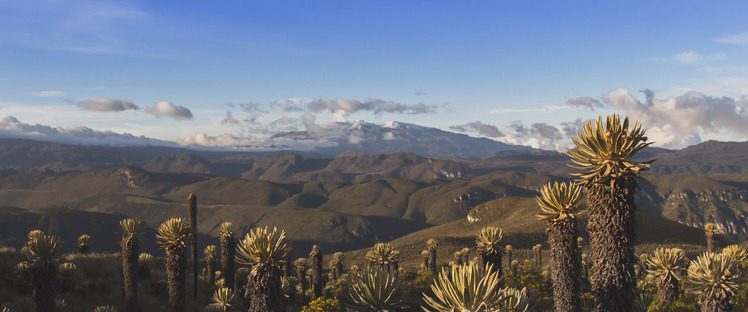 Nevados national Park, Nevado del Ruiz