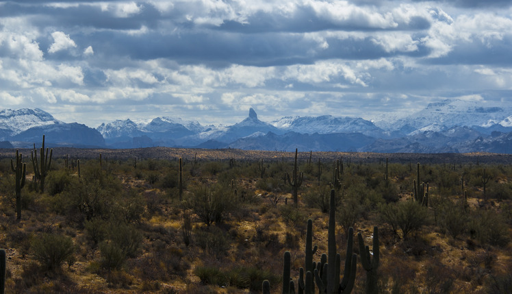 Contrasting Landscapes, Weaver's Needle