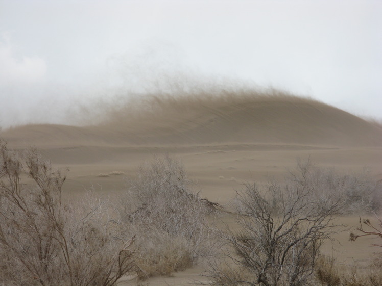 naser ramezani maranjab desert, Karkas