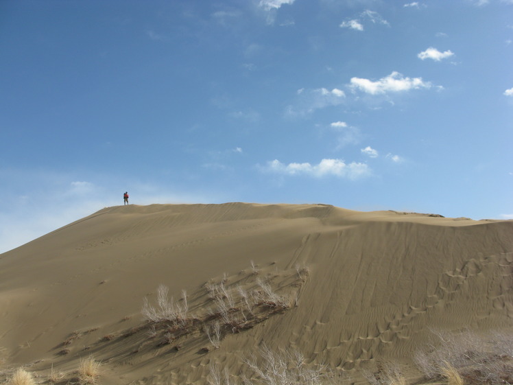 naser ramezani maranjab desert, Karkas