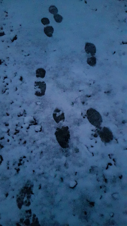 FOOT PRINT