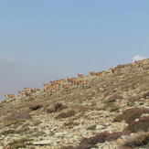 naser ramezani mount vargin, Damavand (دماوند)