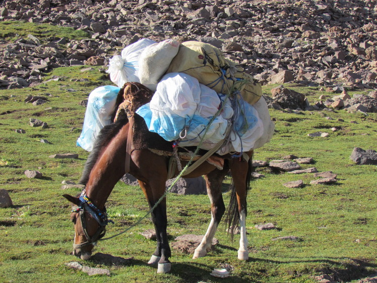 naser ramezani damavand, Damavand (دماوند)