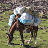 naser ramezani damavand, Damavand (دماوند)