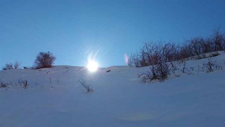 sun, Kolakchal