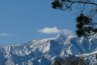 Winter shot of Mount Graham, AZ photo