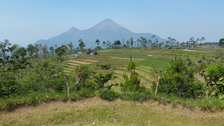 Landscape view of Penanggungan(Pawitra) Mountain, Mount Penanggungan