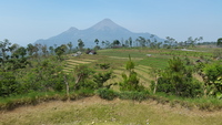 Landscape view of Penanggungan(Pawitra) Mountain, Mount Penanggungan photo