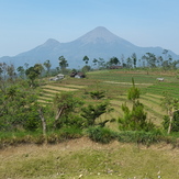 Landscape view of Penanggungan(Pawitra) Mountain, Mount Penanggungan