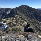 Clark Mountain, Clark Mountain (California)