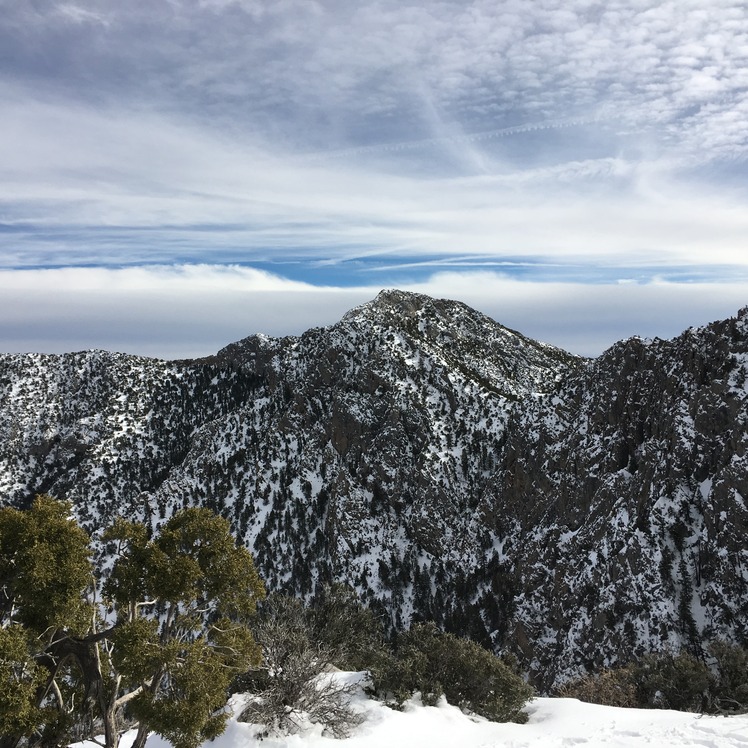 Clark Mountain, Clark Mountain (California)