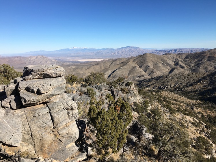 Snow capped Mt Charleston from Clark Mountain, Clark Mountain (California)