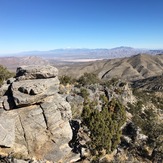 Snow capped Mt Charleston from Clark Mountain, Clark Mountain (California)