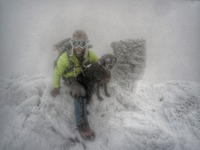 New Years Day 2016, Mount Adams photo