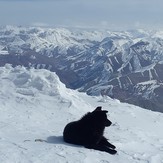 Black Dog on the peak, Tochal