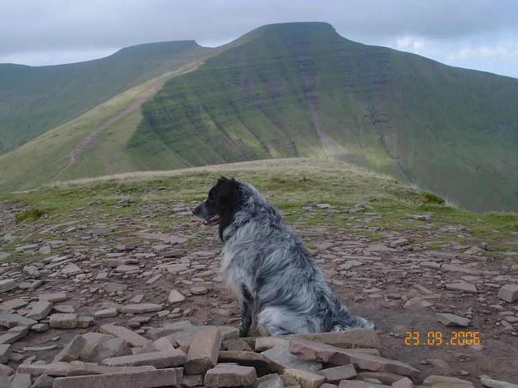 Pen Y Fan From Cribyn