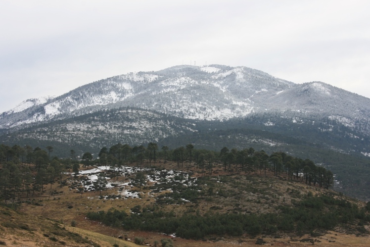 Cerro Potosi weather