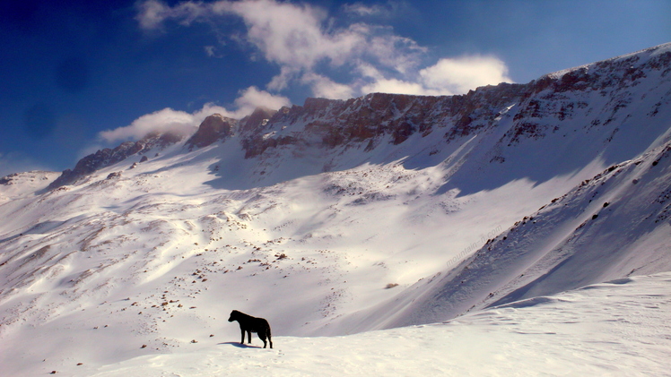 NeghabeKoohestaN.Blogfa.com, Damavand (دماوند)