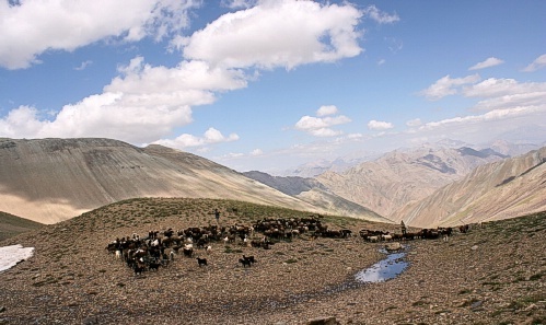 naser ramezani kholeno, Borj